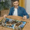 Dėlionė Ravensburger The Sorcerer's Apprentice Haris Poteris 1000 vnt.