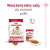Sausas šunų maistas Royal Canin SHN Medium Adult 15 kg — visavertė mityba suaugusiems vidutinių veislių šunims, paukštiena, 25% baltymų, 14% riebalų