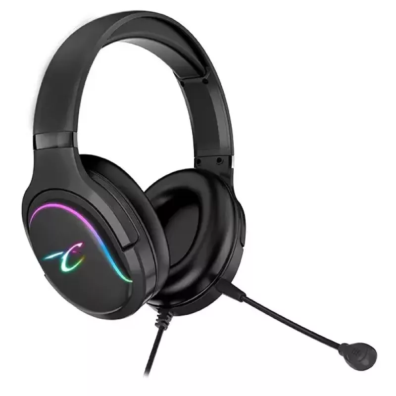 Subsonic Spectra ausinės