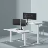 Monitoriaus sieninis laikiklis SBOX LCD-352/2-2 13–32 colių ekranams, dviguba svirtis, 2×8 kg apkrova, VESA 100×100