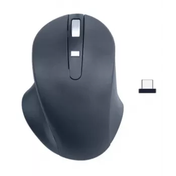 Matius belaidė USB-C P ro pelė, juoda