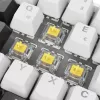 Sharkoon SGK50 S4 klaviatūra Namų USB QWERTZ Vokiečių Balta RGB LED 60%