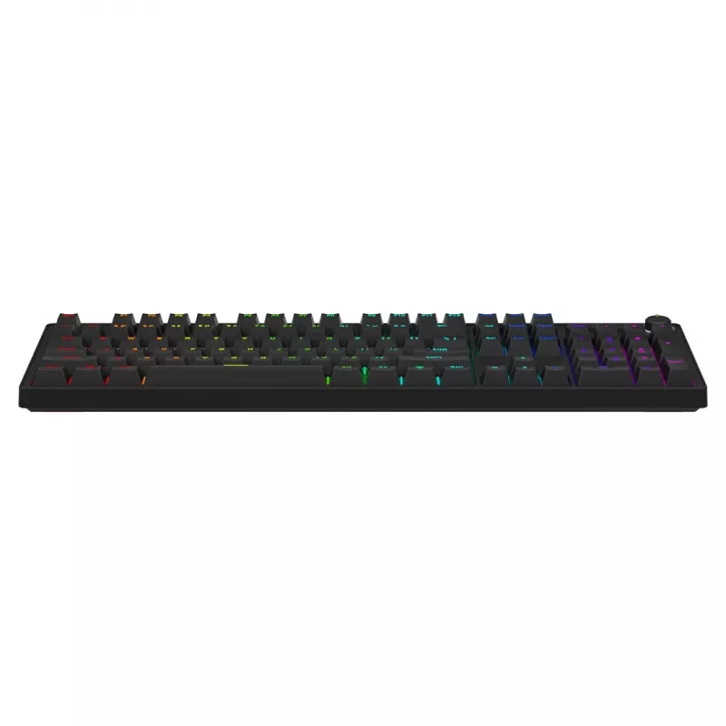 Mechaninė žaidimų klaviatūra SAVIO STYX Outemu Blue Hot-Swap RGB USB QWERTY US International juoda 104 klavišų pilno dydžio