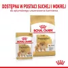 Sausas šunų maistas Royal Canin Pomeranian Adult 3 kg — mažų veislių formulė suaugusiems Pomeranijos špicams
