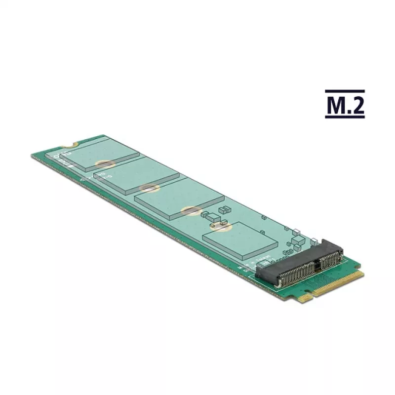 Vidinis M.2 adapteris DeLOCK 65831