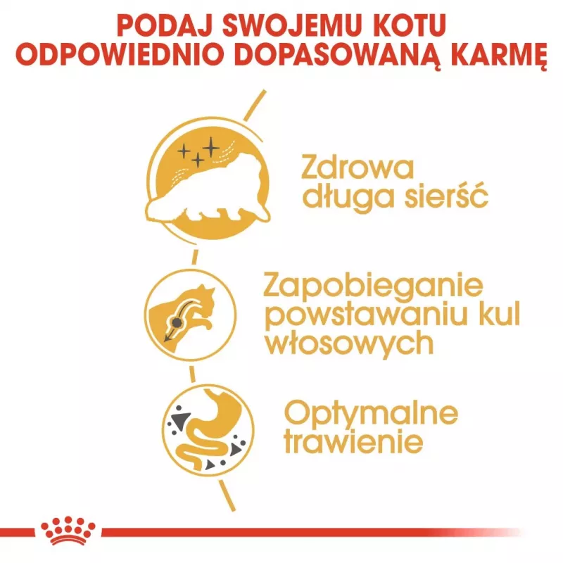 Sausas kačių maistas Royal Canin Persian 4 kg — suaugusioms persų katėms, vištiena, 30 % baltymų, 22 % riebalų