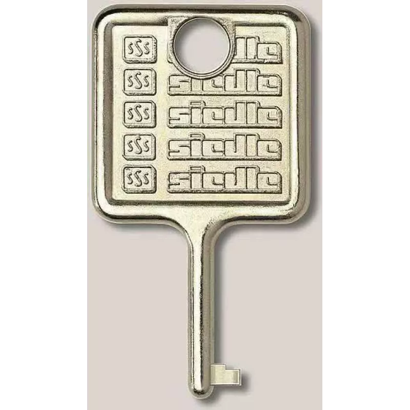 SIEDLE 210007018-00 raktas Informations-Module IM 511- (210007018-00)