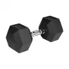 Gumuotas ketaus hantelis HEX 20 kg REBEL ACTIVE
