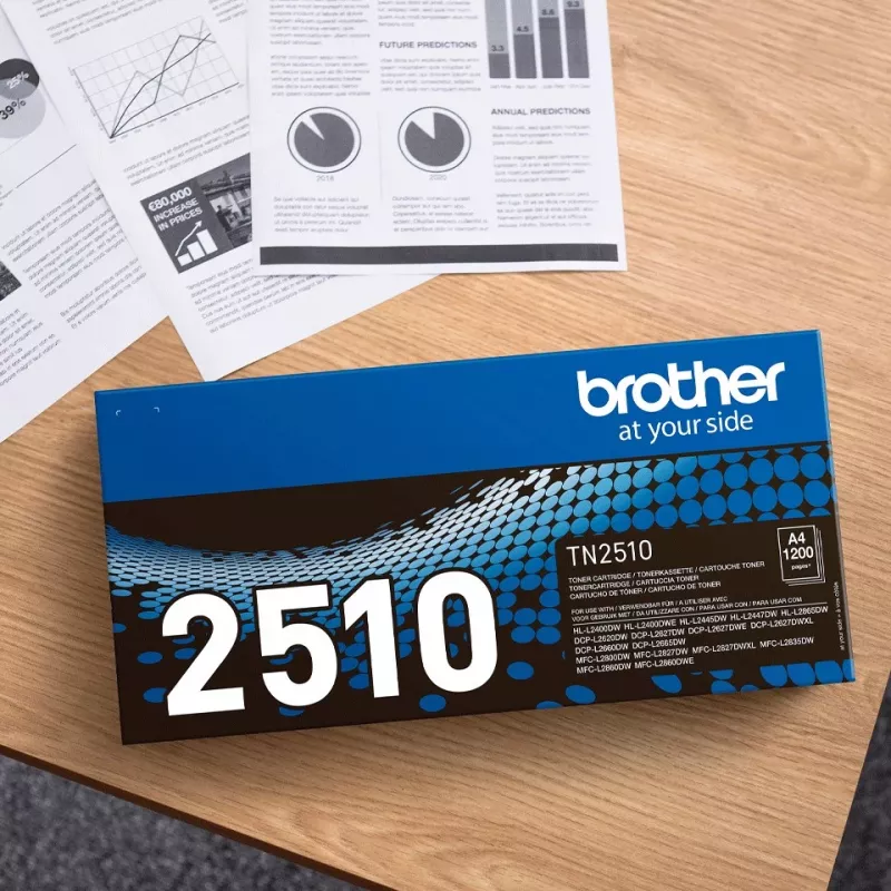 Dažų kasetė Brother TN-2510 2500 puslapių Juoda