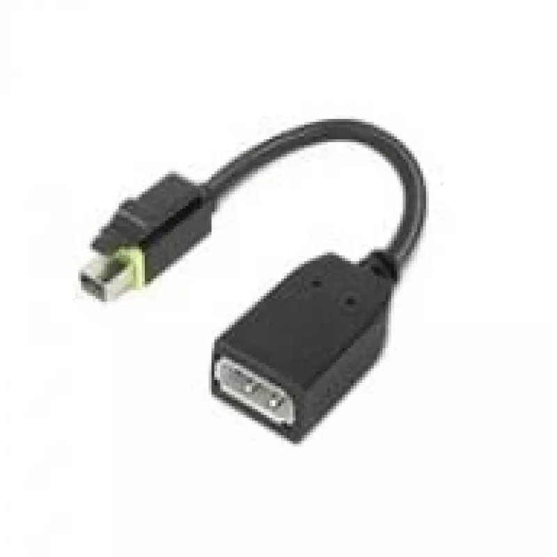 Lenovo 4X90Q93975 vaizdo kabelio adapteris Mini DisplayPort DisplayPort juodas