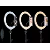 TRACER RING 30 cm žiedinė lemputė su trikoju 210 cm