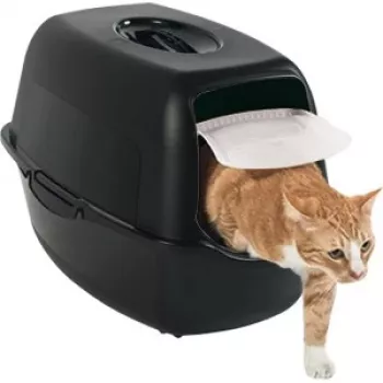 Uždara kačių dėžė Rotho Bailey Cat juoda 560×400×390 mm, anglies filtras, durų sklendė, rankena