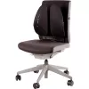 KĖDĖS NUGAROS ATRAŠAS/BACK ANGEL 8026401 FELLOWES