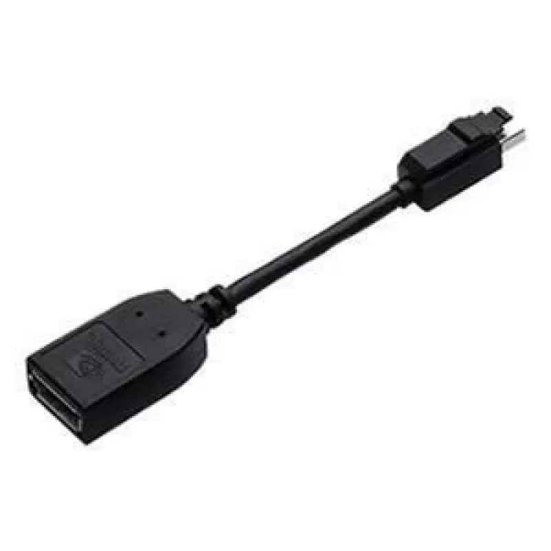Mini DisplayPort į DisplayPort laidas PNY QSP-MINIDP/DP