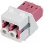 Rutenbeck Keystone modulis KMK-LC-D OM4 baltas — LC Duplex OM4 pluošto įdėklas