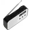 Nešiojamasis skaitmeninis radijas Adler AD 1907 — AM/FM, skaitmeninis imtuvas, žadintuvas, USB-C, 600 mAh baterija, LCD, 20 išsaugotų stočių, teleskopinė antena