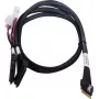 SAS laidas ADAPTEC Microchip Technology 2305500-R SlimSAS ×8 į 2×2SFF-8639 U.2, 0,8 m, juodas