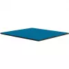 Thermal Grizzly Minus Pad Advance - 100 x 100 x 1,5 mm, 2 vnt.