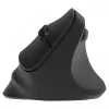 Ergonominė dešiniarankė belaidė pelė, dviguba WL+BT