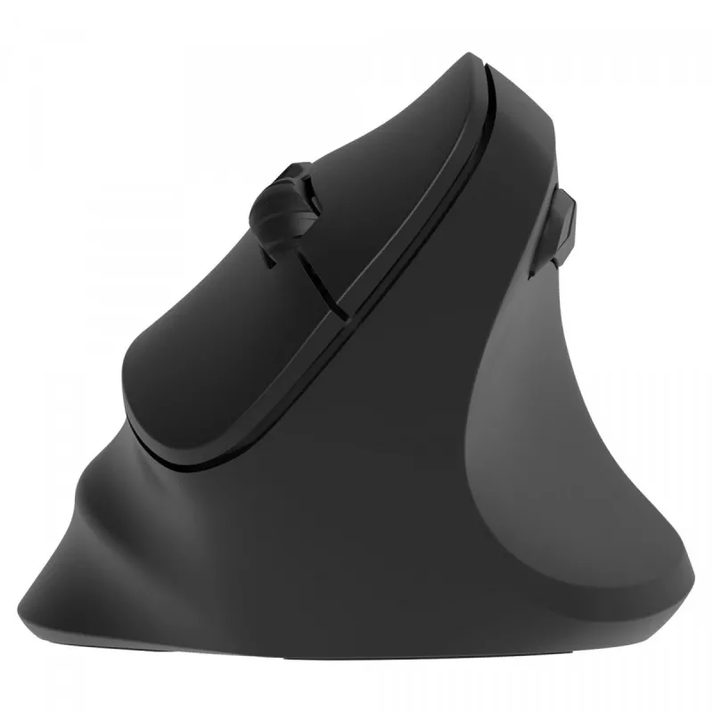 Ergonominė dešiniarankė belaidė pelė, dviguba WL+BT