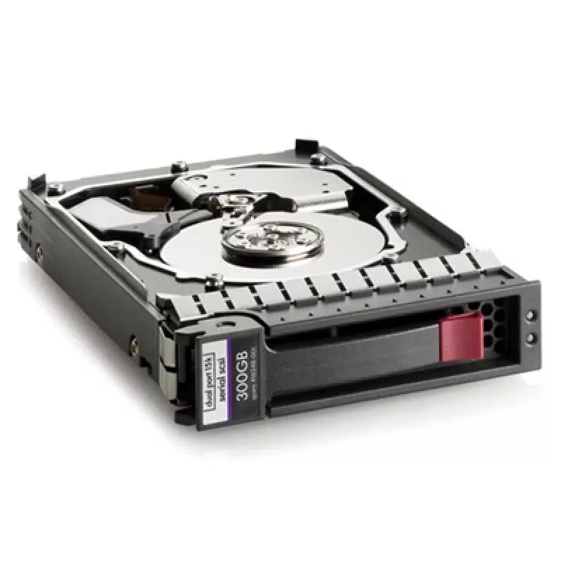 HPE dviejų prievadų – kietasis diskas – 300 GB – 15000 aps./min.