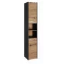 Topeshop S30 ANTRACYT/ARTISAN vonios spintelė