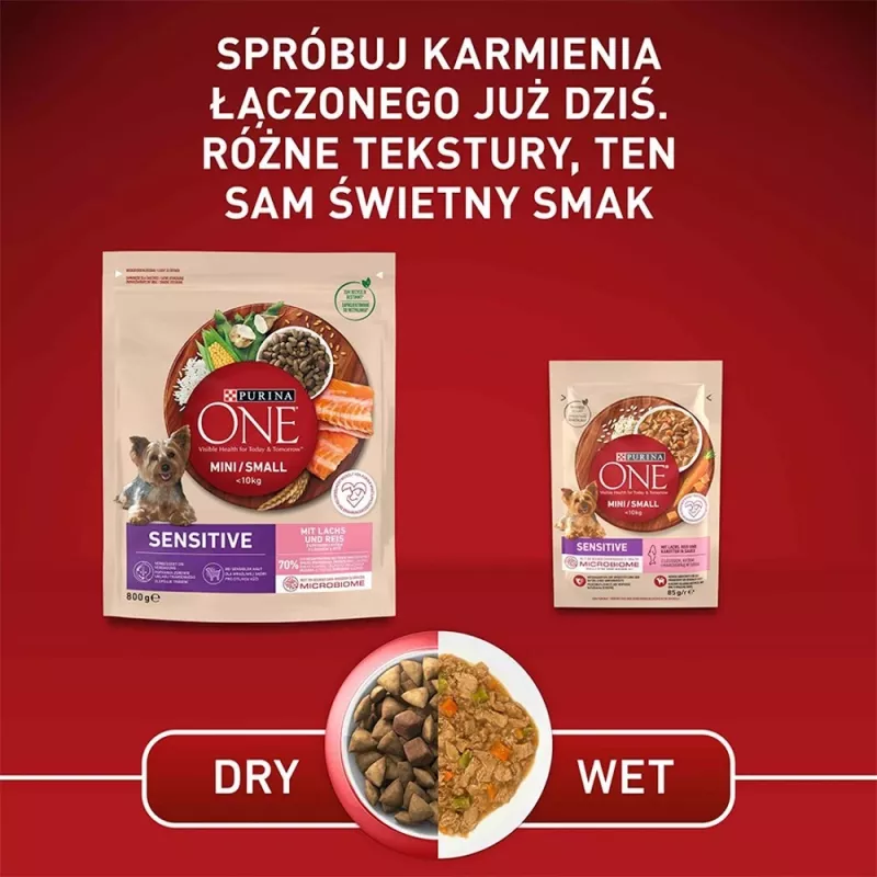 Sausas šunų maistas Purina Nestlé One Mini/Small Sensitive Salmon & Rice 800 g – mažoms veislėms (5–10 kg), senjorams, 27% baltymų, 17% riebalų
