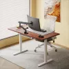 Reguliuojamo aukščio stalas Up Up Bjorn White, stalviršis M Dark Walnut