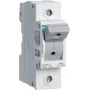 Hager jungiklis su saugikliu L71M pol 63A D0 1 (L71M)