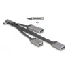 DeLOCK 64303 USB 3.2 Gen 1 Type-C šakotuvas 5000 Mbit/s Pilka