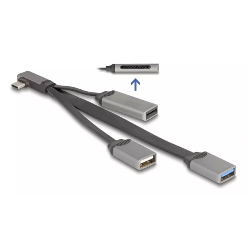 DeLOCK 64303 USB 3.2 Gen 1 Type-C šakotuvas 5000 Mbit/s Pilka