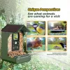 EASYPIX paukščių kamera Easypix Bird Cam 10123 1080p HD naktinis matymas