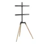 TV priedo grindų stovas 32-65 / TRIPOD TVS-65S-01 Gembird