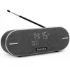 Nešiojamasis radijas TechniSat DIGITRADIO BT 2 DAB+ FM 20W
