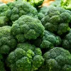 Sėklos — Apte Broccoli 'Cezar' | Daržovių sėklų pakuotė 2 g