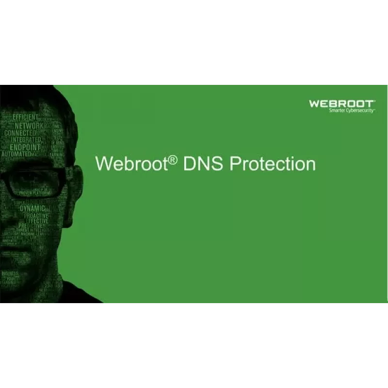 Webroot | DNS Protection with GSM Console | 1 metai | Licencijos kiekis 1-9 vnt.