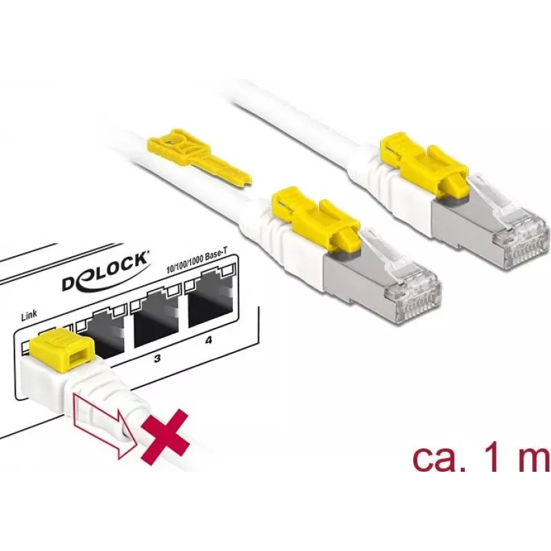 Tinklo kabelis DeLOCK 85331 RJ-45 Cat6a 1 m Baltas