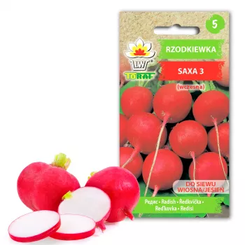 Saxa 3 ridikėlių sėklos, 10g daržovių sėklų pakuotė