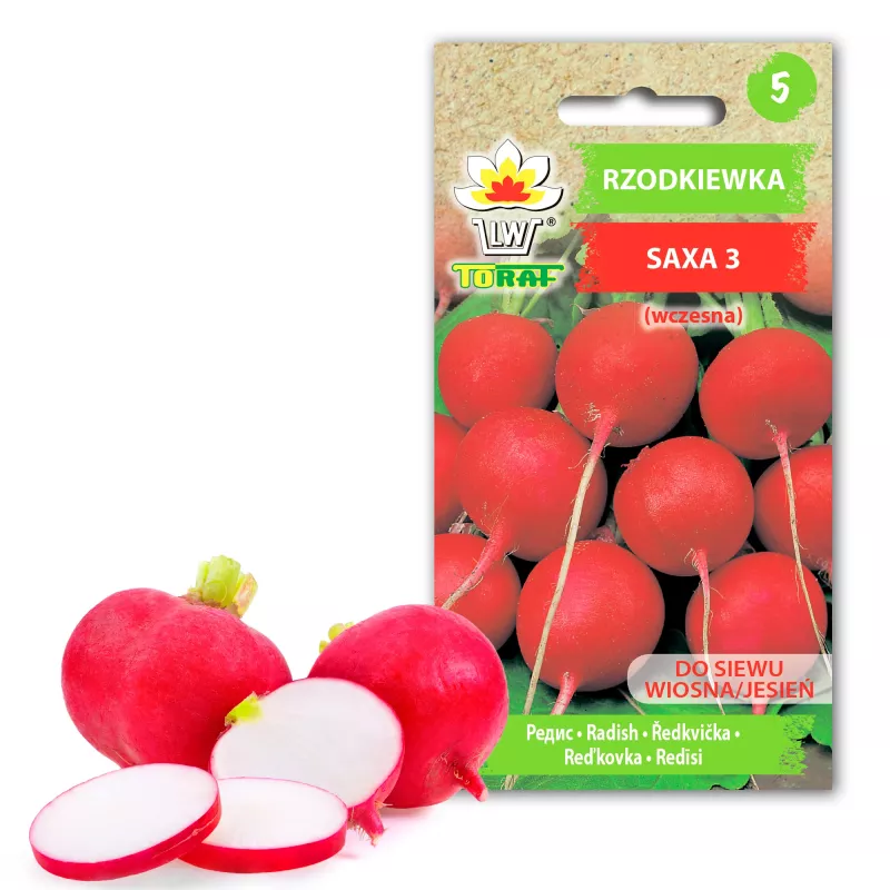 Saxa 3 ridikėlių sėklos, 10g daržovių sėklų pakuotė