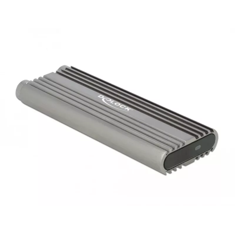 SSD korpusas DeLOCK 42001 Sidabrinis M.2