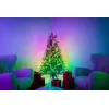 Iš anksto apšviesta kalėdinė eglutė Twinkly Regal Tree 1,50 m — 270 RGB šviesos diodų, Wi‑Fi ir Bluetooth, IP20, 36 W, žalias laidas