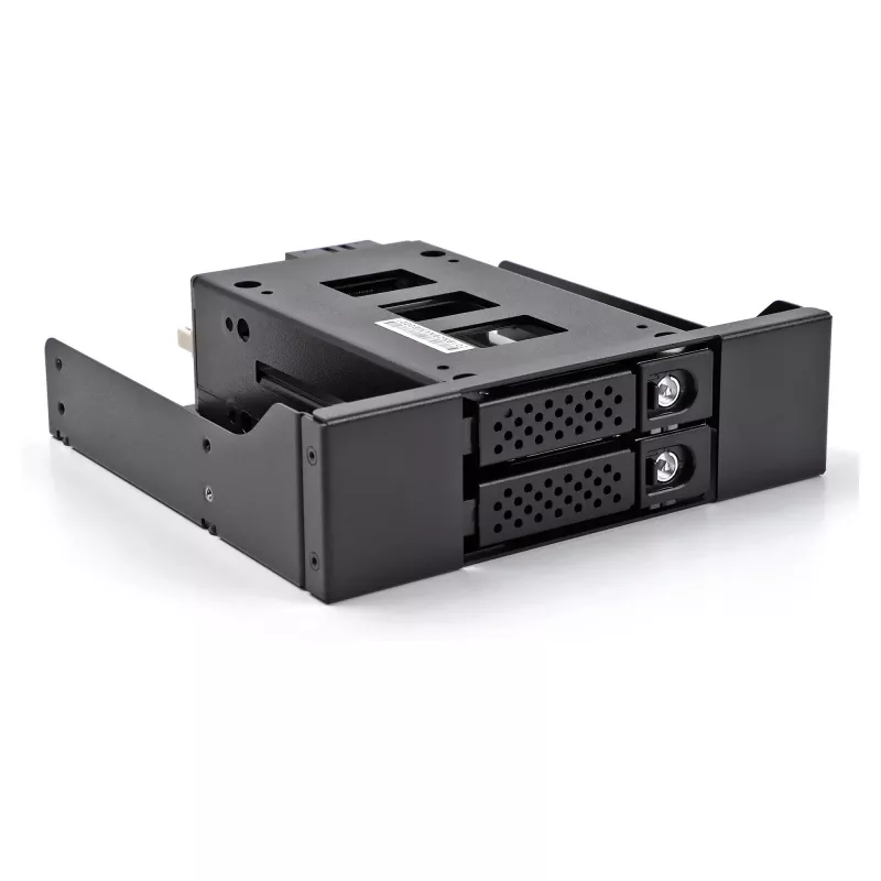 Kaupimo įrenginio dėklas DeLOCK plonas Bay Mobile Rack 2 x 2,5 colio U.2 NVMe SSD juodas