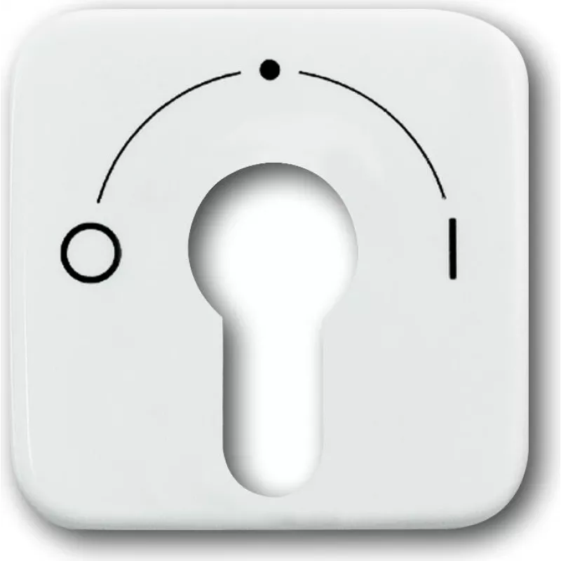 BUSCH JAEGER centrinė dengiamoji plokštė aws f.Key Switch 2557 SLPZ-21