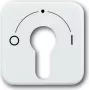 BUSCH JAEGER centrinė dengiamoji plokštė aws f.Key Switch 2557 SLPZ-21