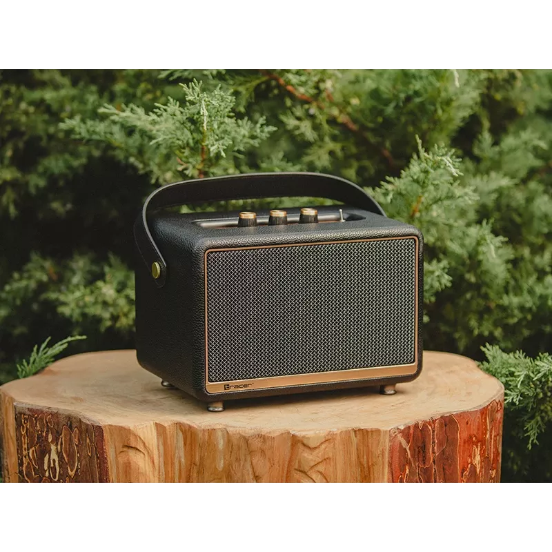 Stereo Portable Speaker Tracer M30 TWS BT Juoda, Gold