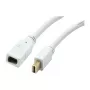 Synergy 21 S216366 - Mini DisplayPort - Mini DisplayPort - Kištukas - Lizdas - Auksinis - Baltas (S216366)