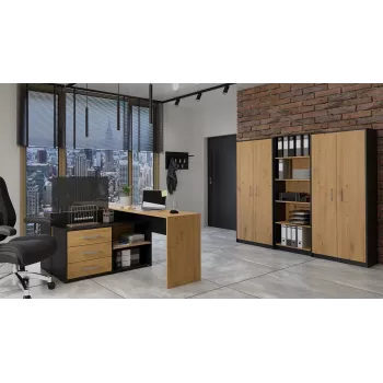 Topeshop OLIV 2D ANT/ART KPL biuro knygų spinta