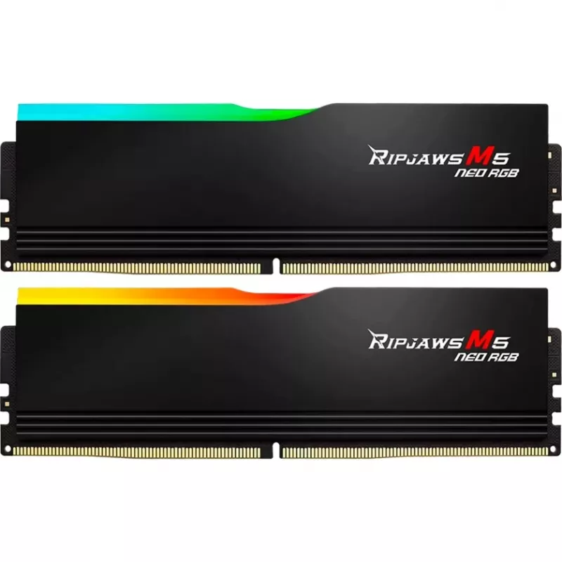 G.skill F5-6000J3636F32GX2-RM5NRK atminties modulis