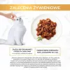 GOURMET GOLD - Troškinys su antiena ir kalakutiena 85 g