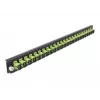Splice Box priekinis skydelis DeLOCK 19 colių 24 prievadų SC Simplex laimo žalia